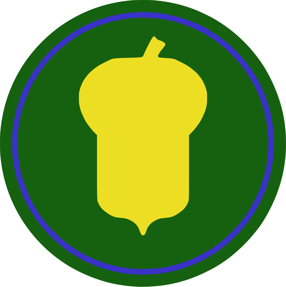 87th Infantry Division insignia
